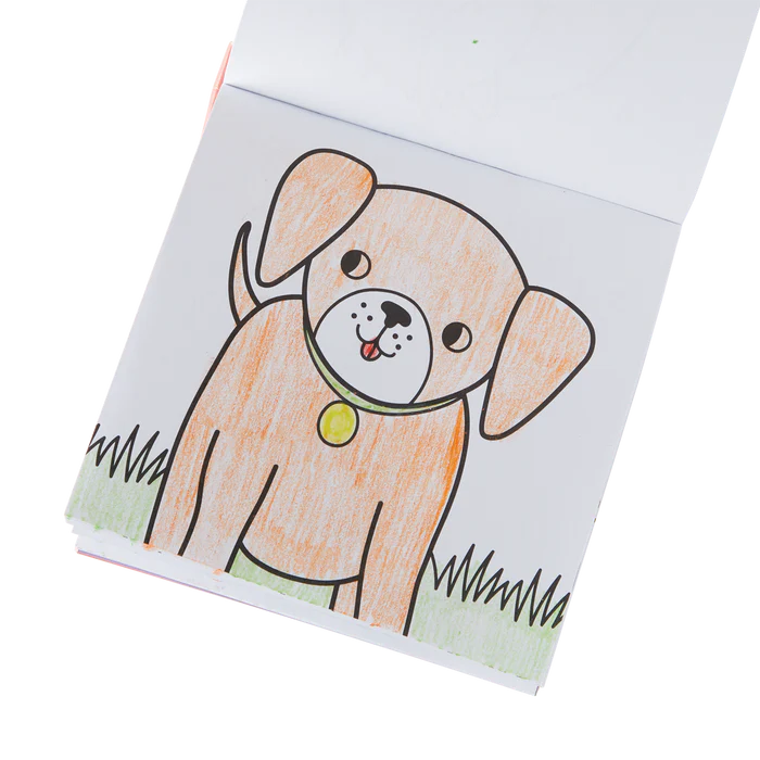 Carry Along Colouring Book & Crayon Set | Pet Pals