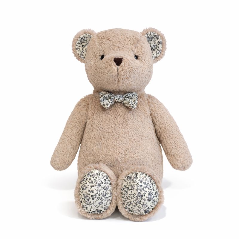 Hugo the Bear