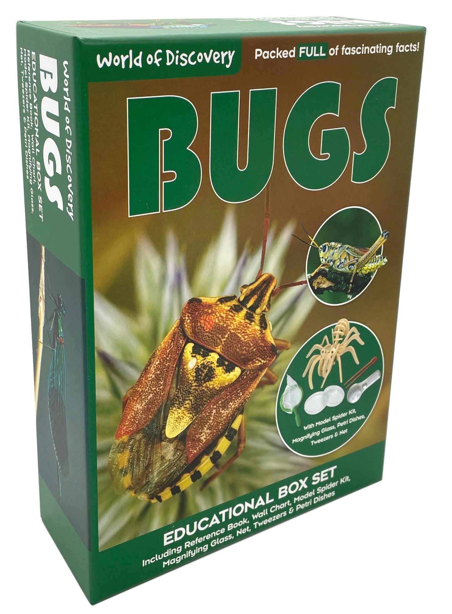 World of Discovery Bugs