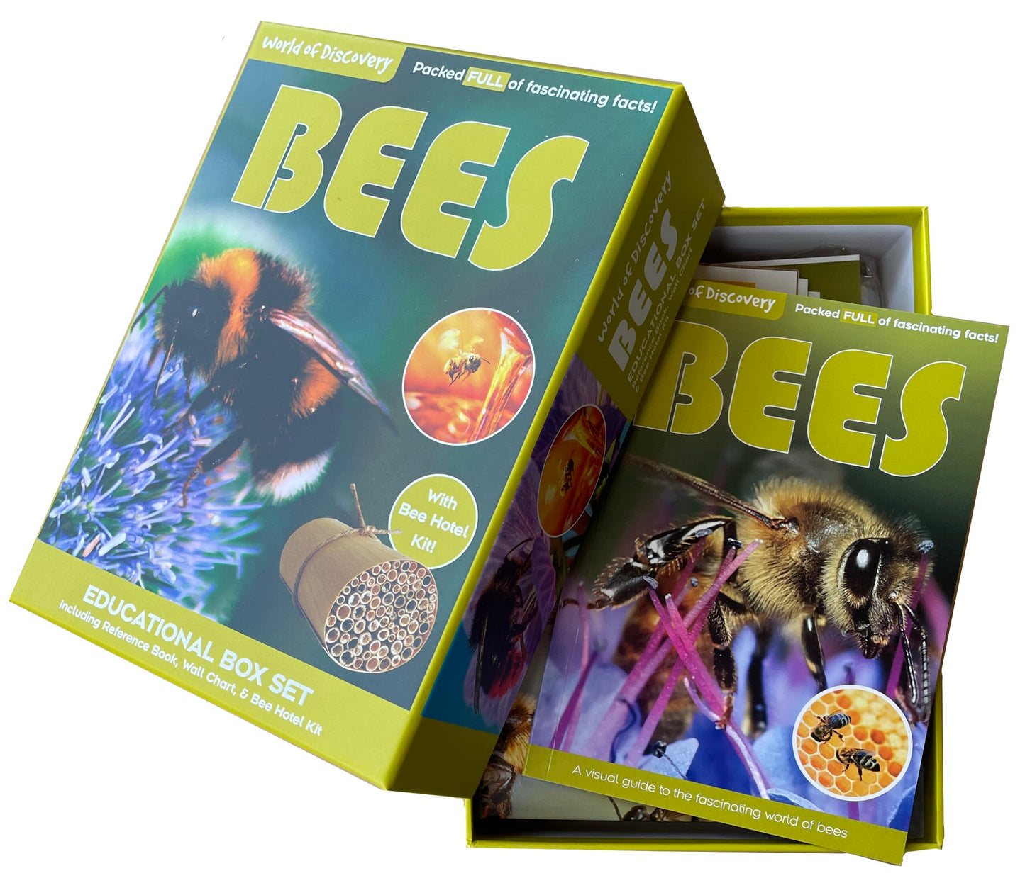 World of Discovery Bees
