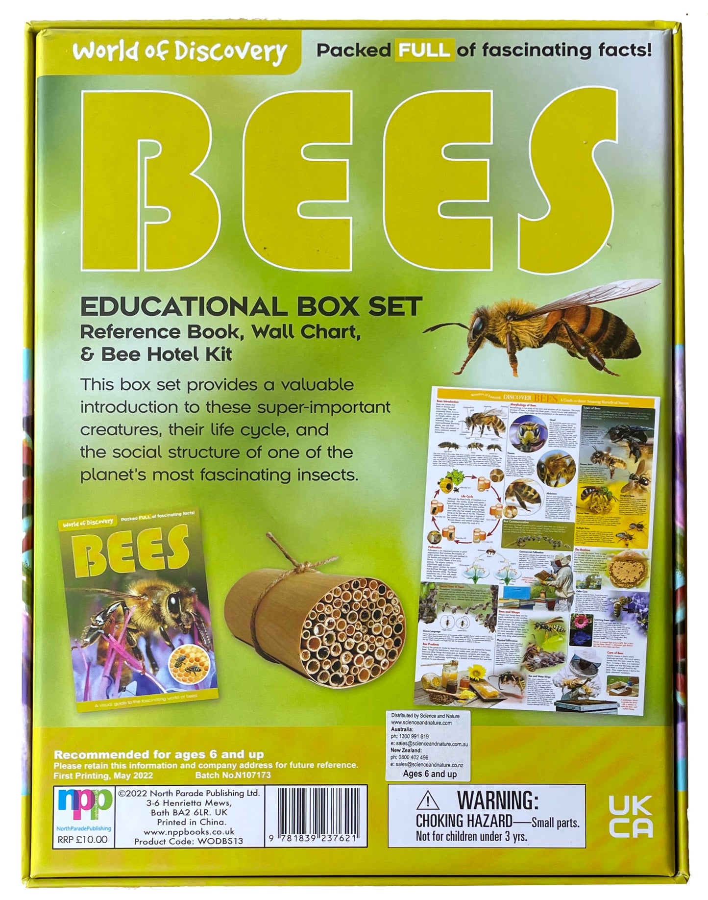 World of Discovery Bees