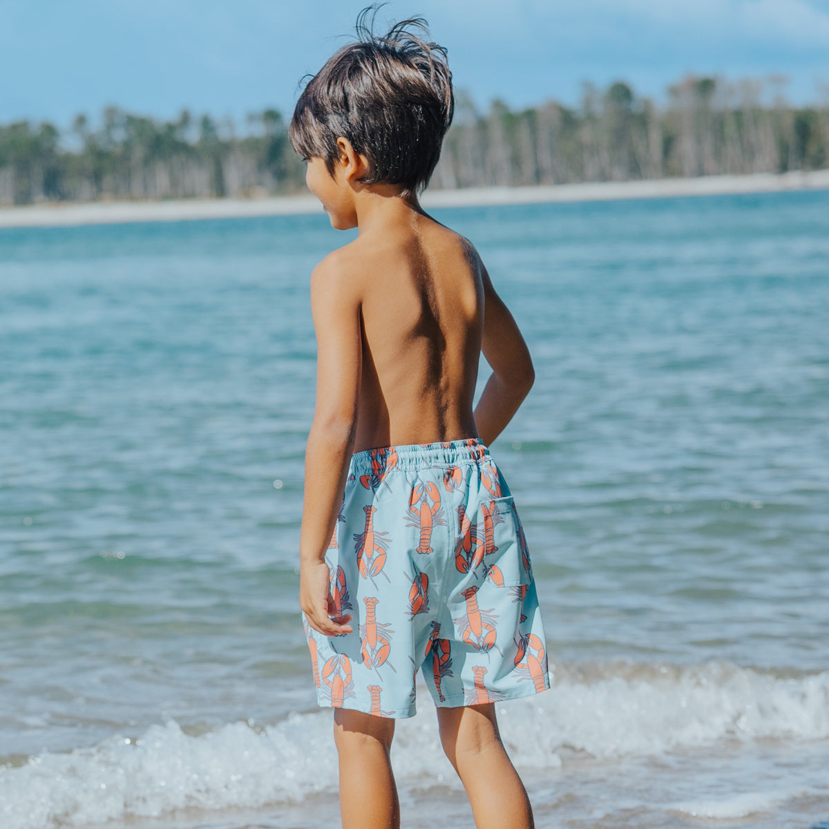 Crywolf Board Short Lobsters