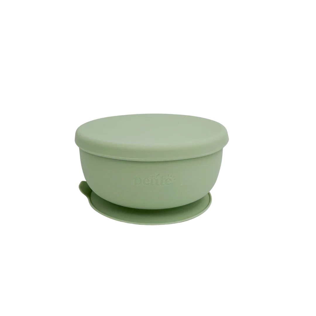Petite Eats Stainless Steel Bowl with Lid Fern