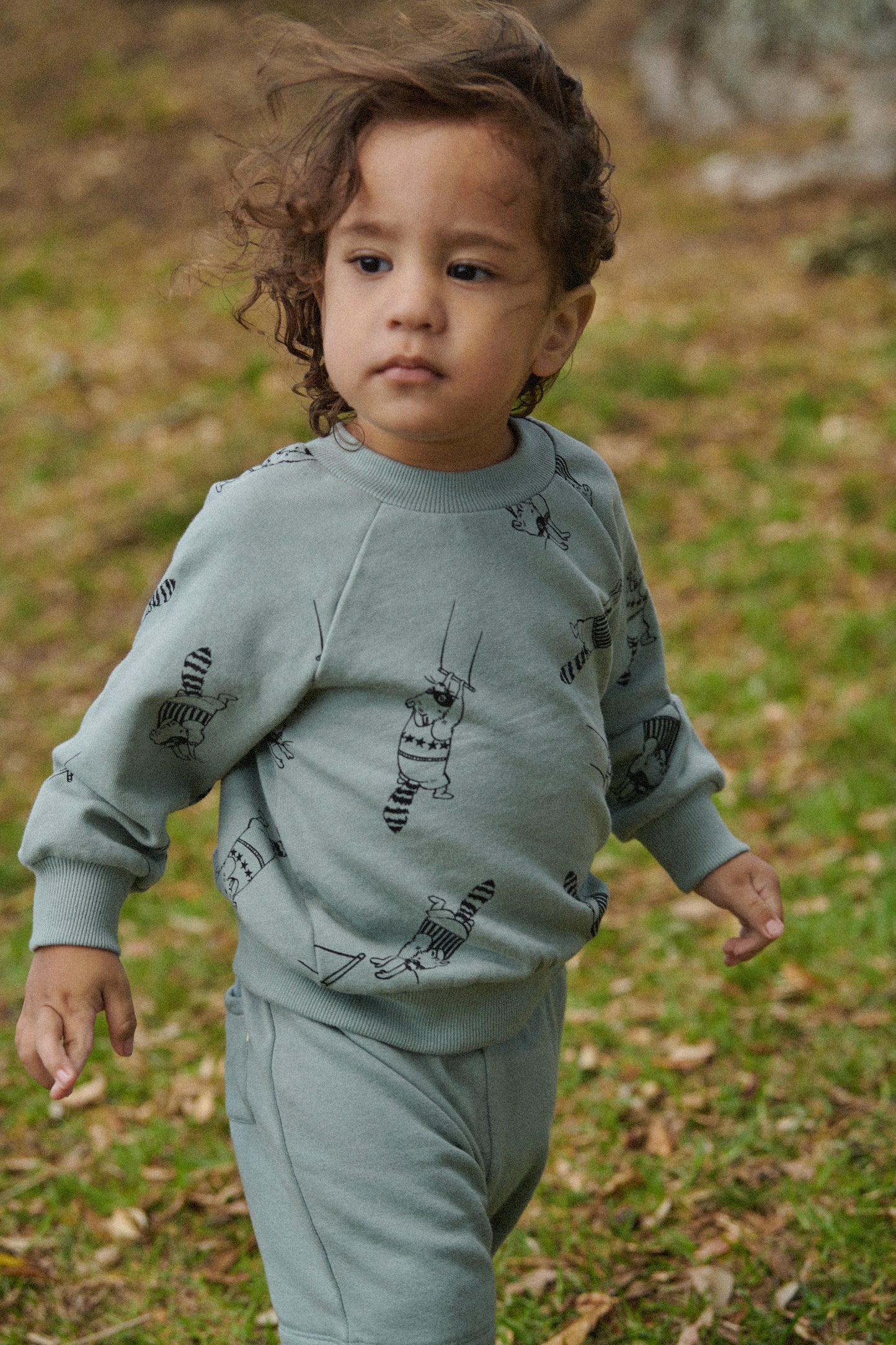 Nature Baby Emerson Sweater Raccoon Rhapsody Print