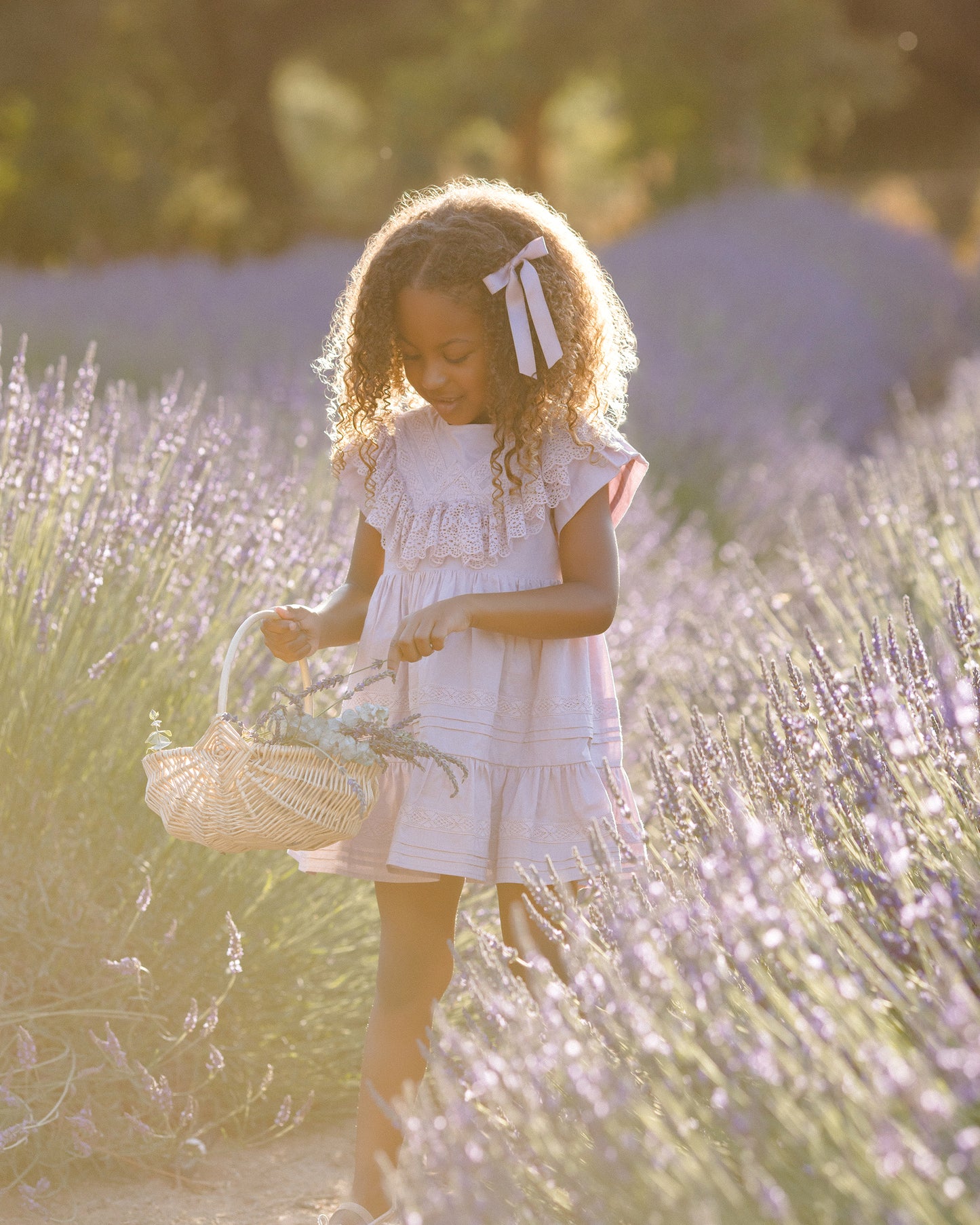 Noralee Goldie Dress Lavender
