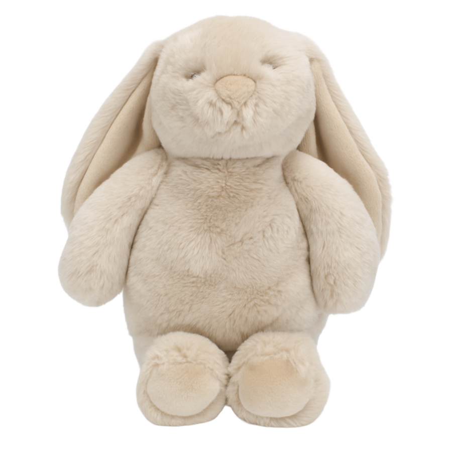 Littlefoot Bunny Biscuit