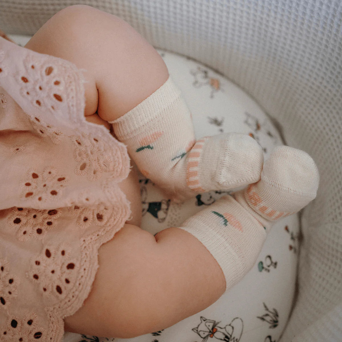 Lamington Baby Merino Crew Socks Rosa