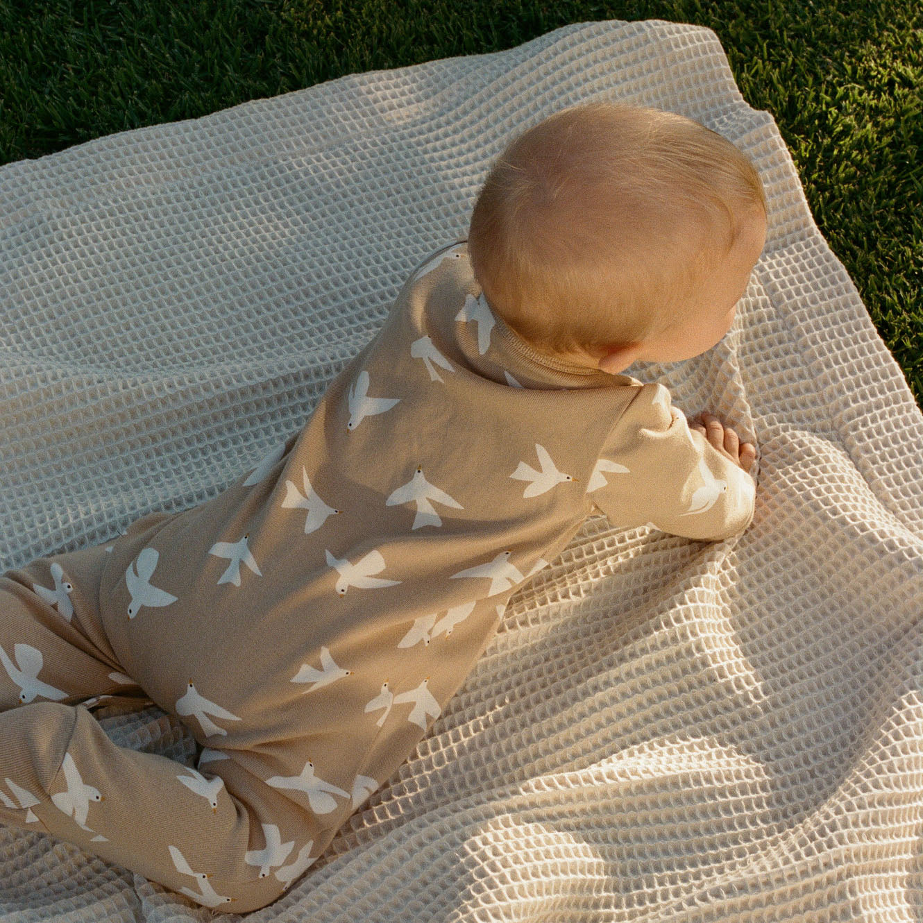 Nature Baby Stretch & Grow Poet Print