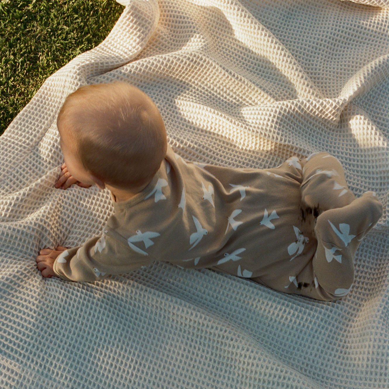 Nature Baby Stretch & Grow Poet Print