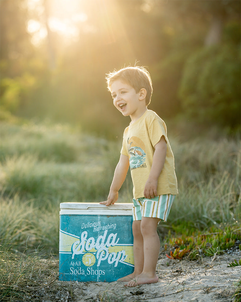 Minihaha Surfs Up Stripe Boys Shorts