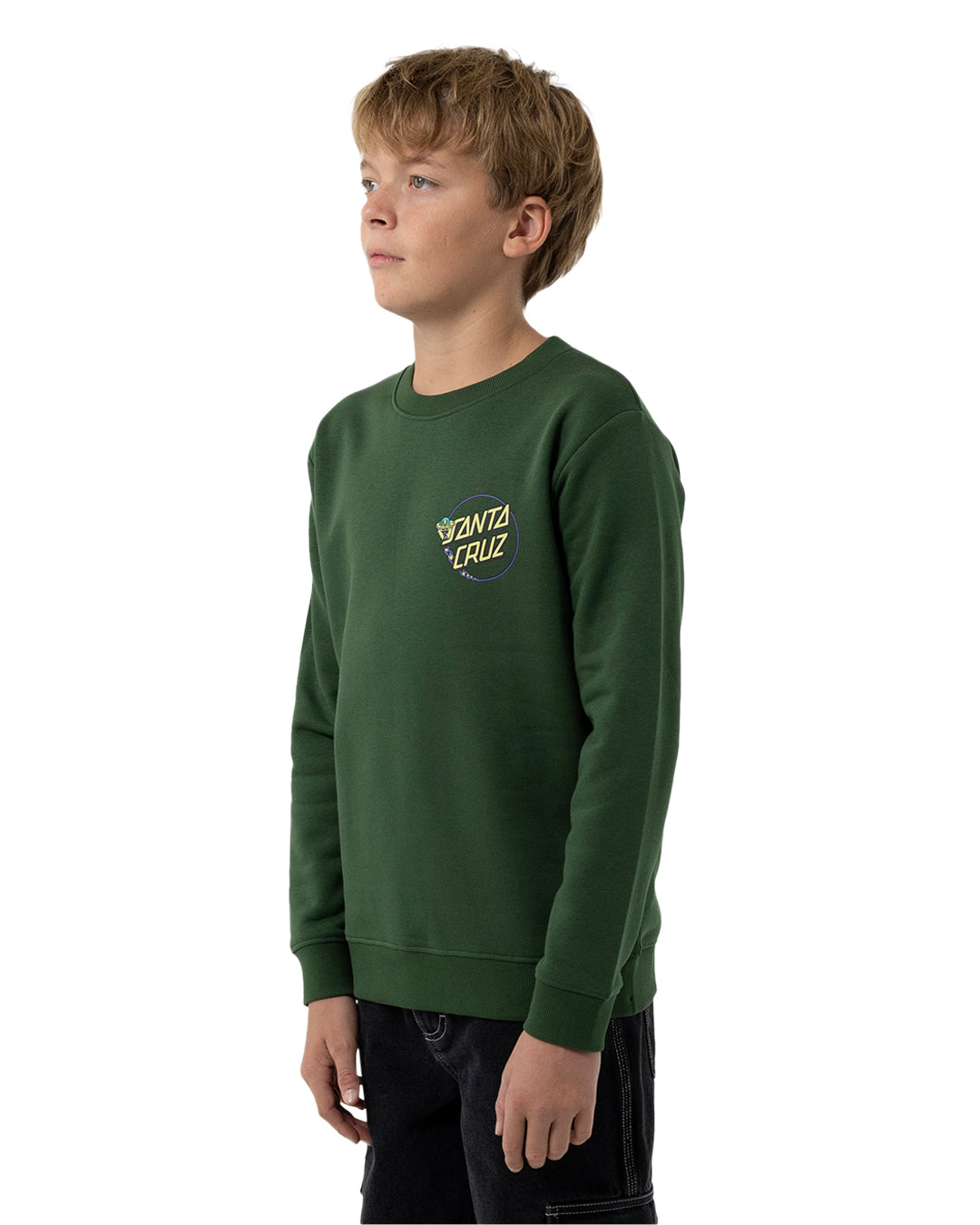 Santa Cru Winkowski Dope Planet 2 Dot Sweater Dark Green