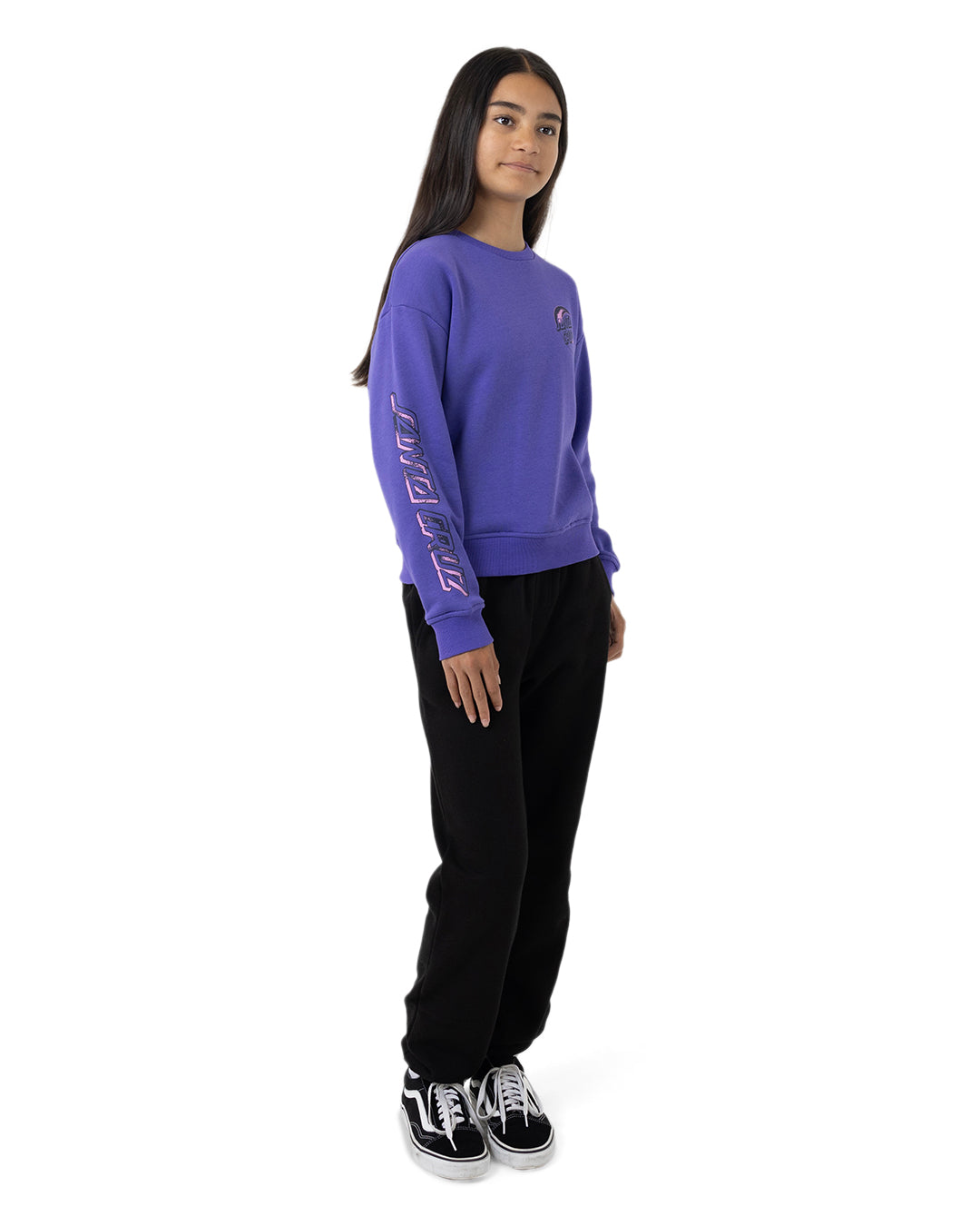 Santa Cruz Seeing Moon Dot Chest Sweater Iris