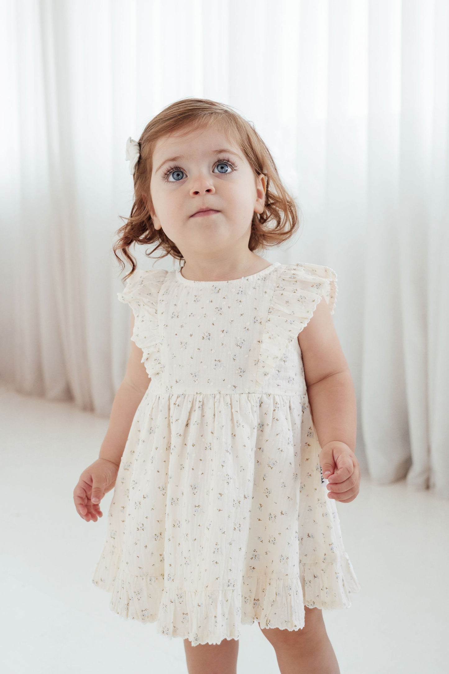 Aster & Oak Sofia Floral Ruffle Dress Ivory