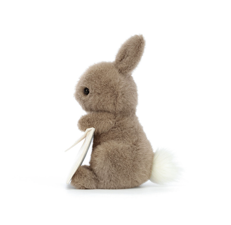 Jellycat Messenger Bunny