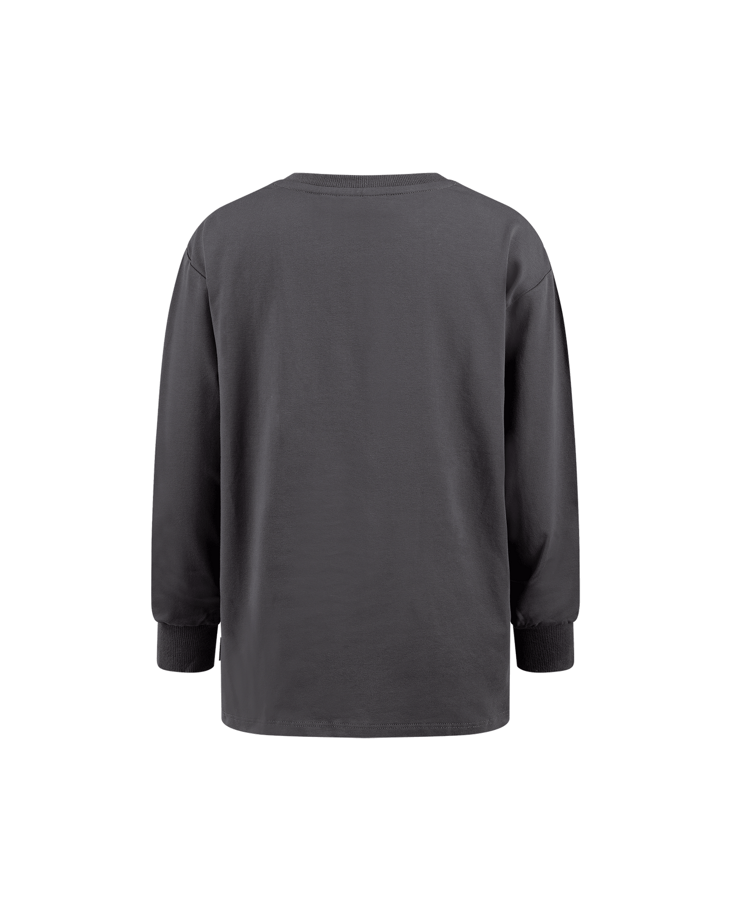 Rock Your Kid Dino Stack Long Sleeve Tee