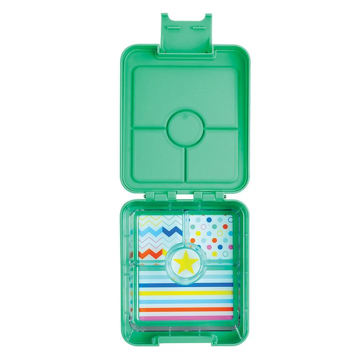 Penny Scallan Medium Bento Box Dino Rock