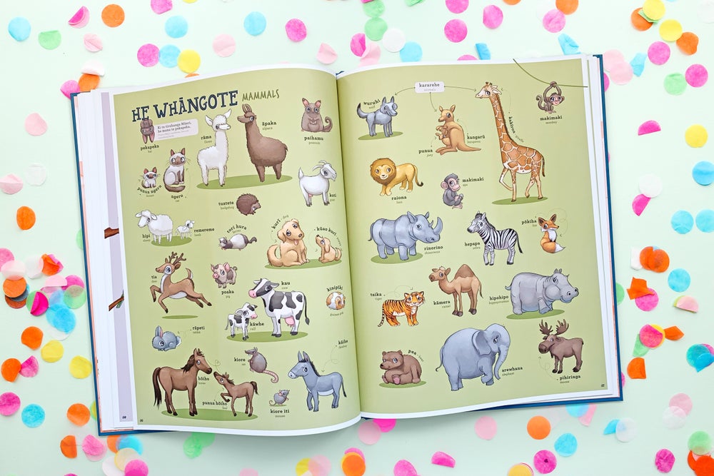 Kuwi & Friends Māori Picture Dictionary - He Papakupu Whakaahua