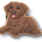 Jibbitz Brown Lab Puppy