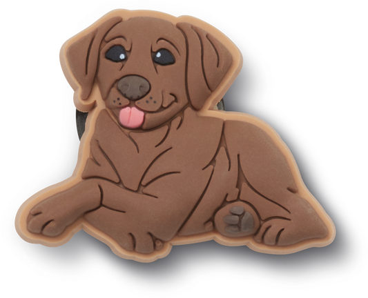 Jibbitz Brown Lab Puppy