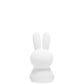 Mr Maria Miffy Bundle of Light