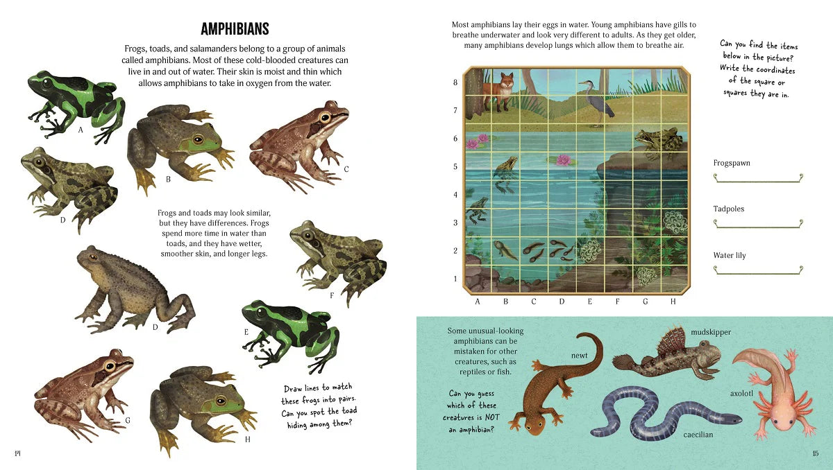 Museum of Marvels Animal Activity Book