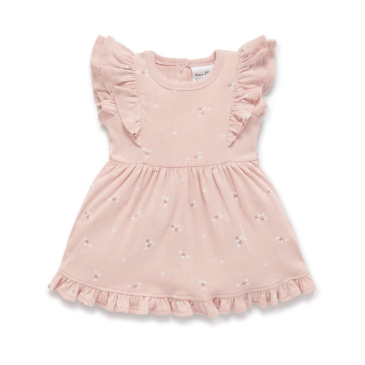 Aster & Oak Petal Pointelle Ruffle Dress *Pre-order*