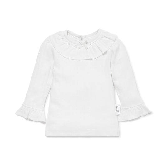 Aster & Oak White Pointelle Top