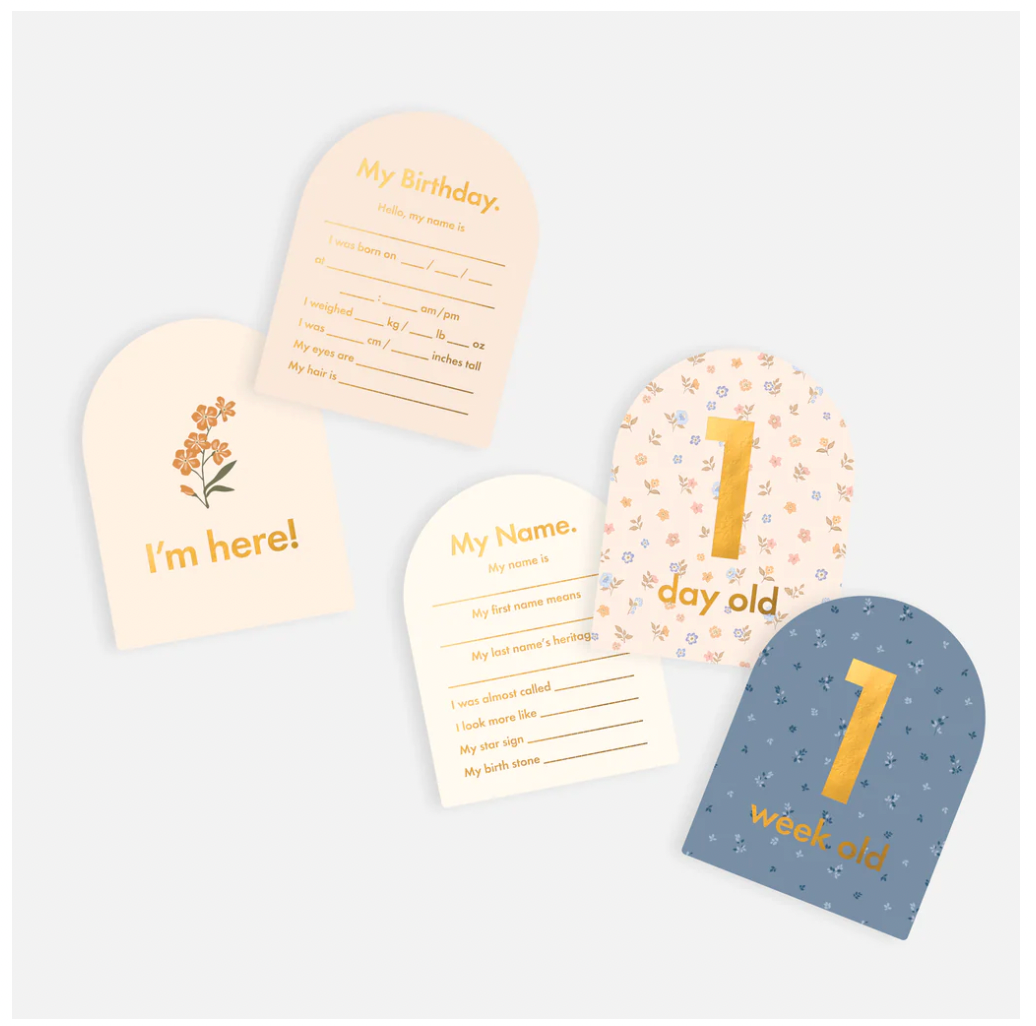 Baby Milestone Cards Broderie