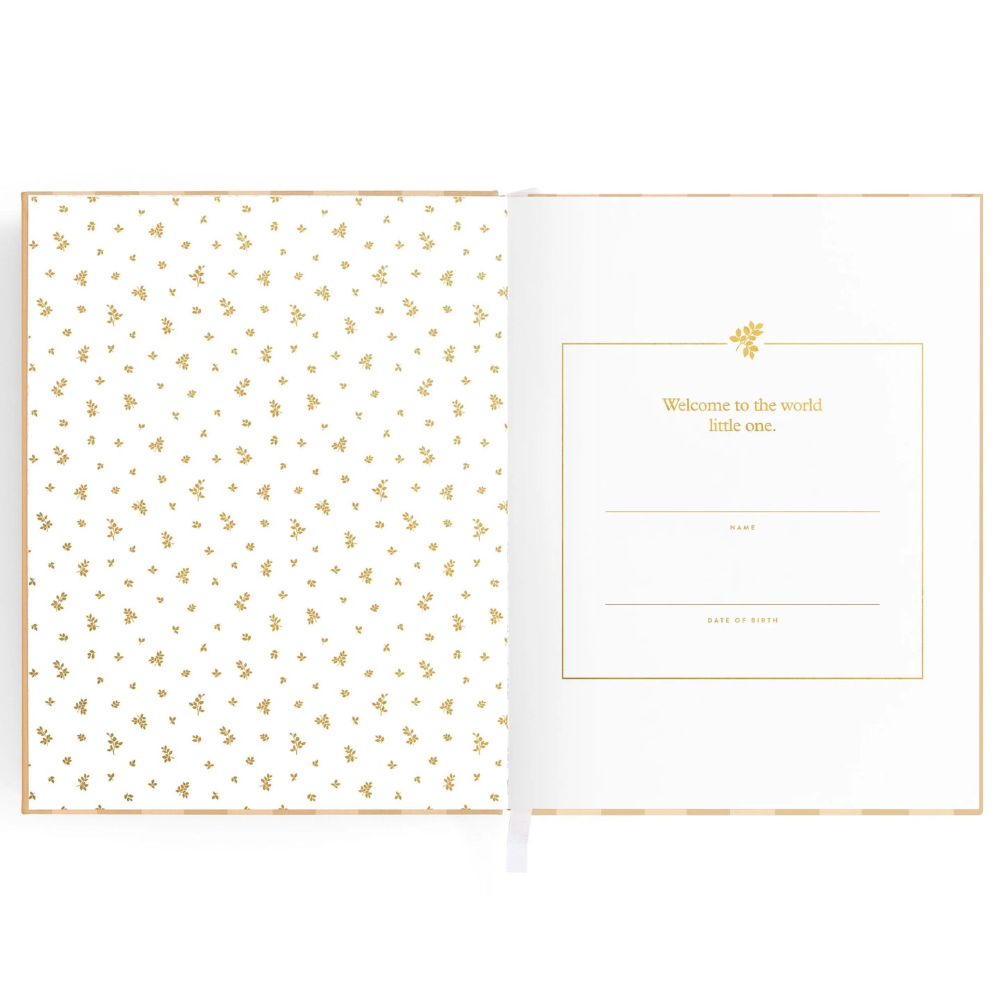 Baby Book Coffee Stripe