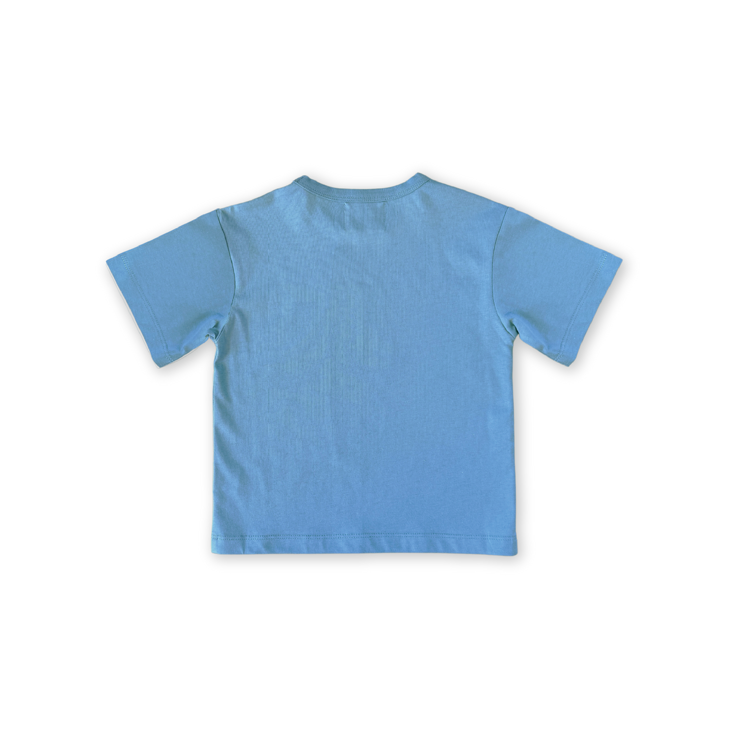 Grown Organic Almost Grown Tee Duck Egg