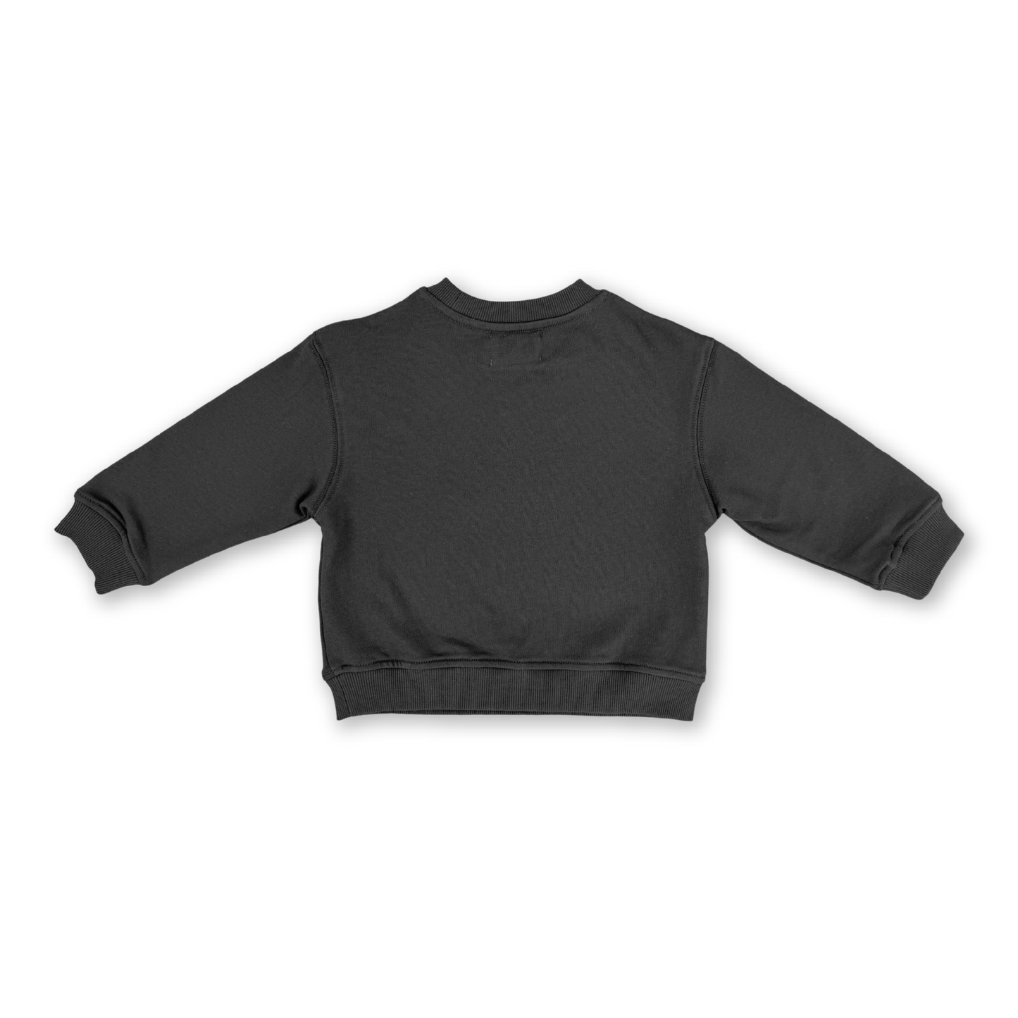 Grown Parrot Fish Jumper Ash