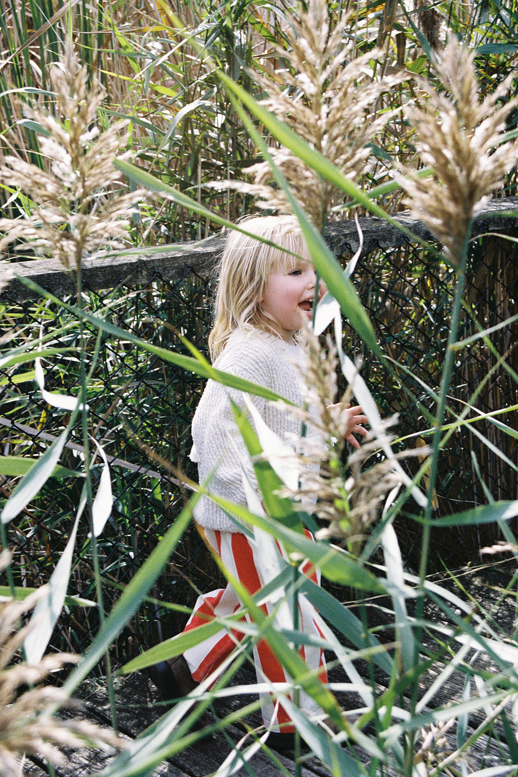 Grown Organic Fringe Rib Knit Pull Over Natural