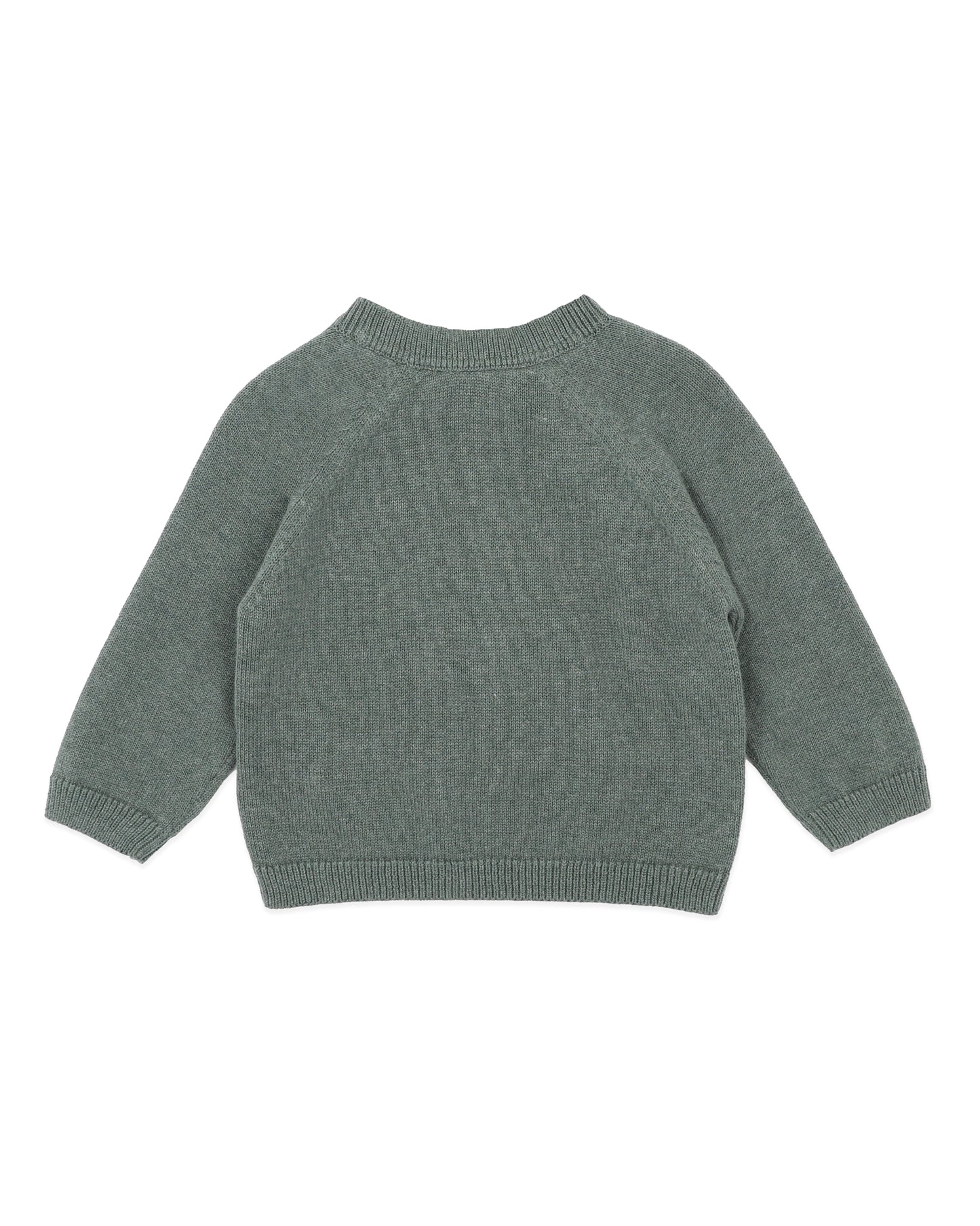 Minihaha Baby Otto Proud Puppy Organic Knitted Jumper Sage