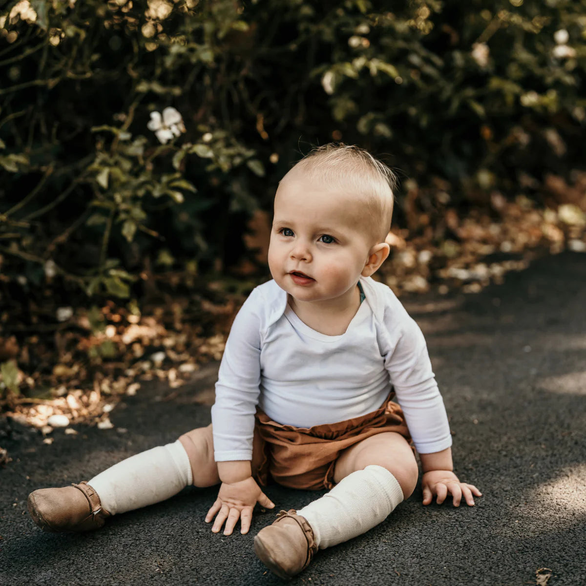 Lamington Baby Merino Knee High Socks Owl