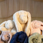Flopsy Bunny Warm White