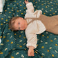 Fox & Fallow Trucks Organic Muslin Wrap