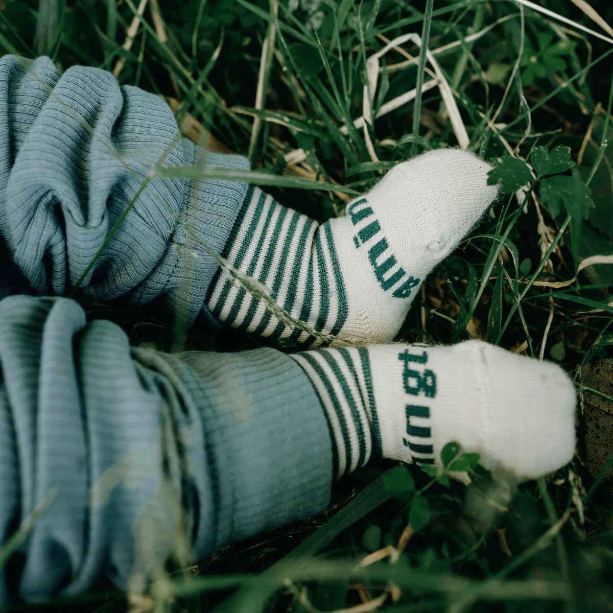 Lamington Baby Merino Crew Socks Tui