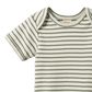 Nature Baby Short Sleeve Bodysuit Nettle Sailor Stripe