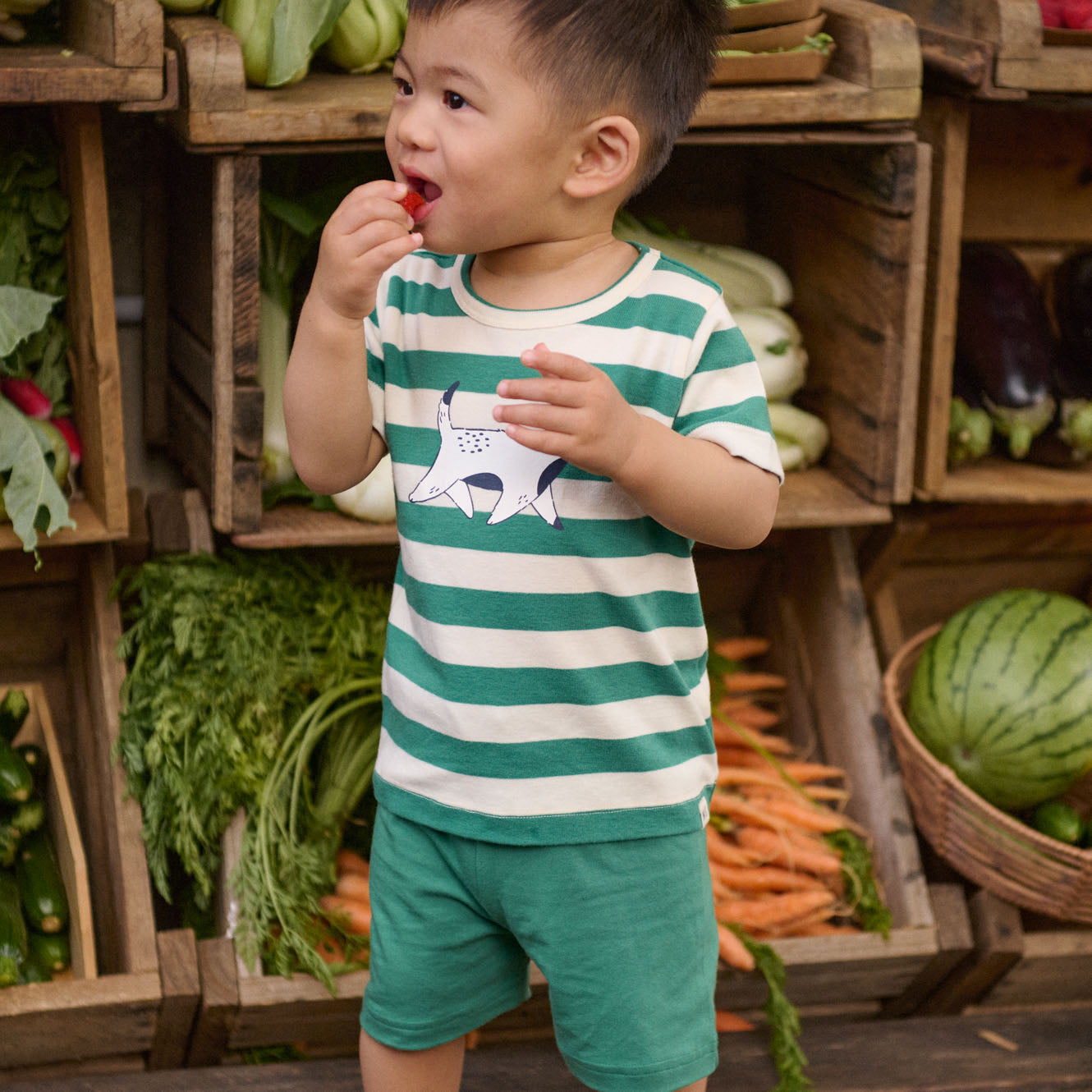 Nature Baby Jimmy Shorts Peppermint
