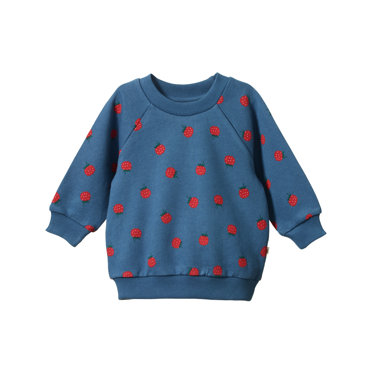 Nature Baby Emerson Sweater Raspberry Blue Print