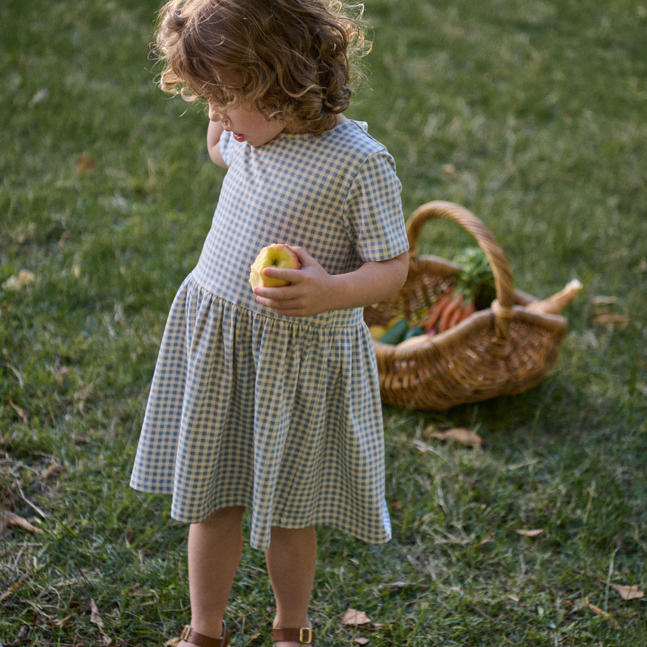 Nature Baby Saturday Dress Blue Gingham