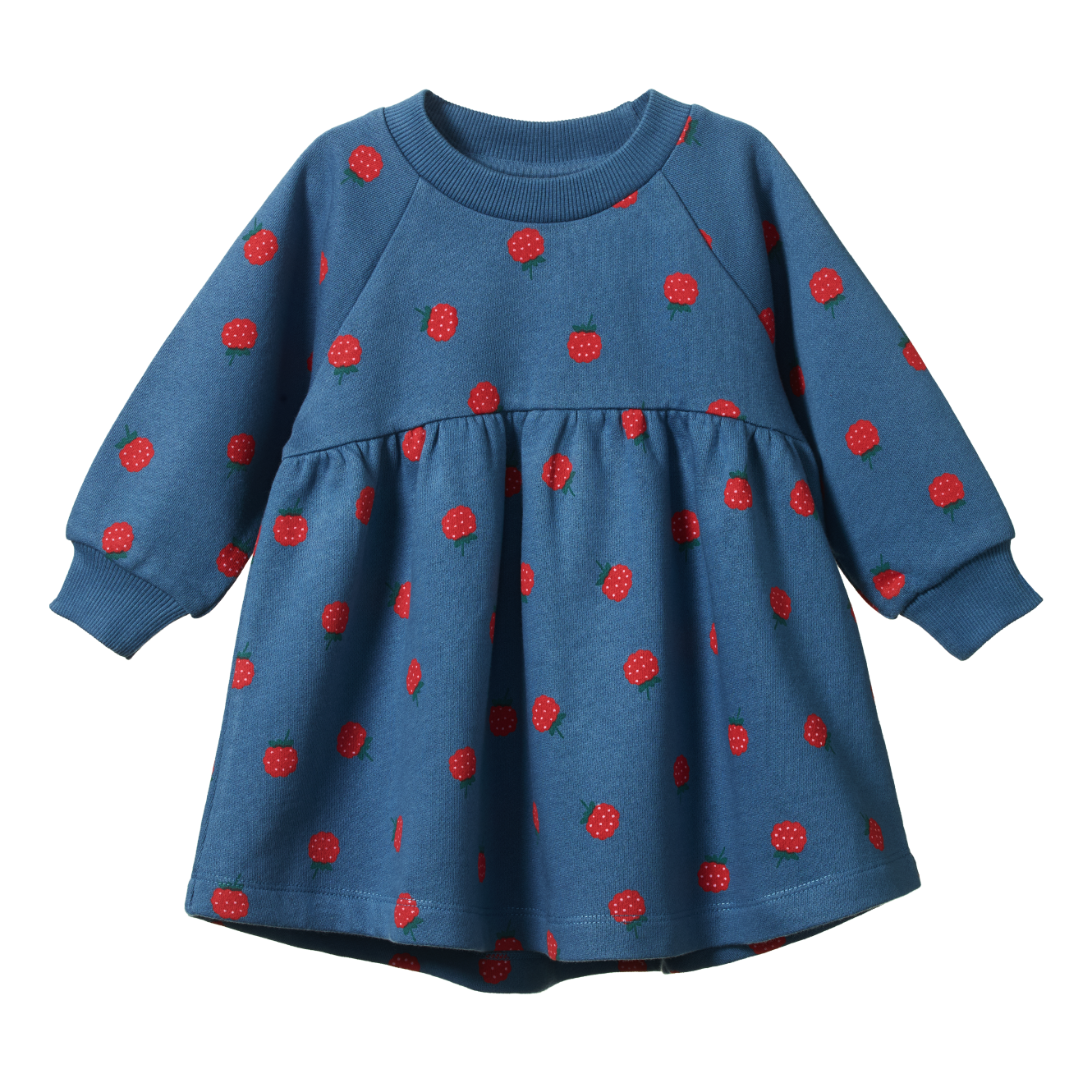 Nature Baby Ines Dress Raspberry Blue