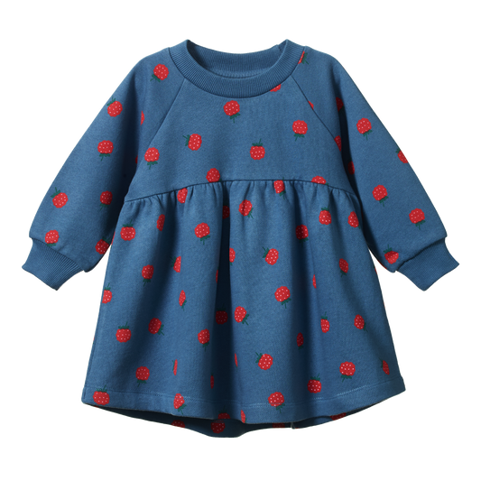 Nature Baby Ines Dress Raspberry Blue