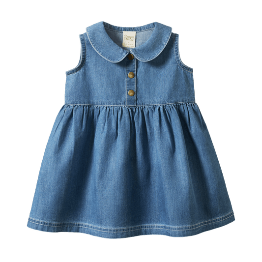 Nature Baby Birdy Dress Sky