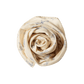 Nature Baby Muslin Wrap Best Friend Print