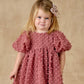 Noralee Luna Dress Raspberry