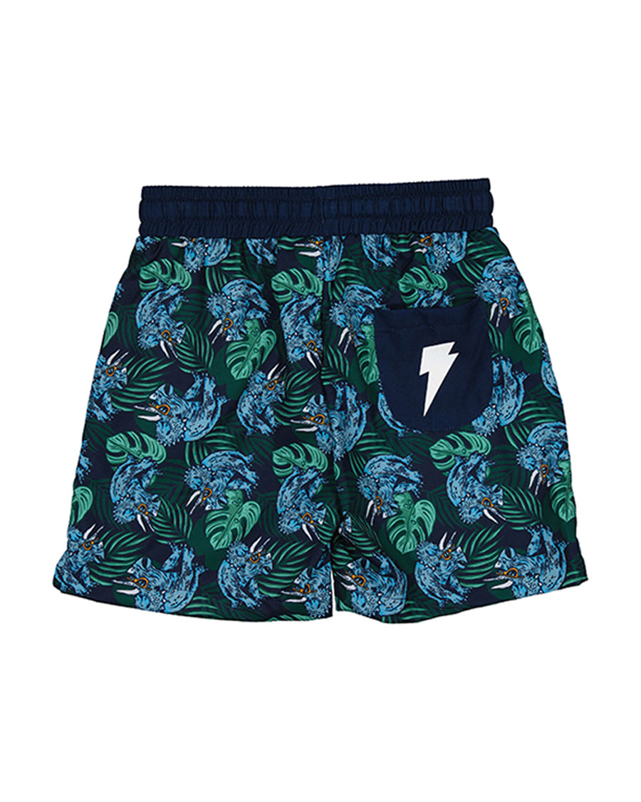 Radicool Tropical Dino Boardies