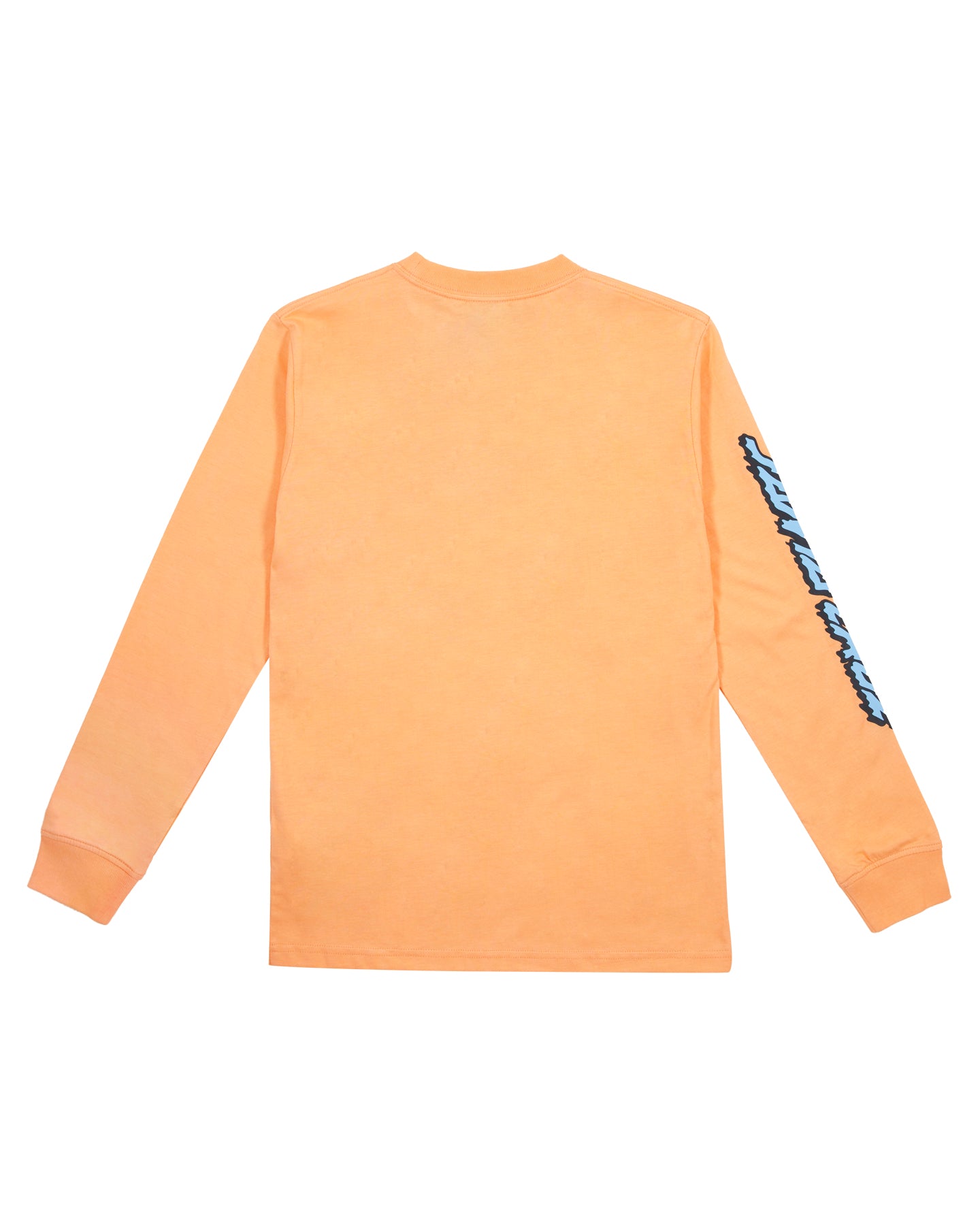 Santa Cruz Decaying Hand Centre Strip Long Sleeve Orange