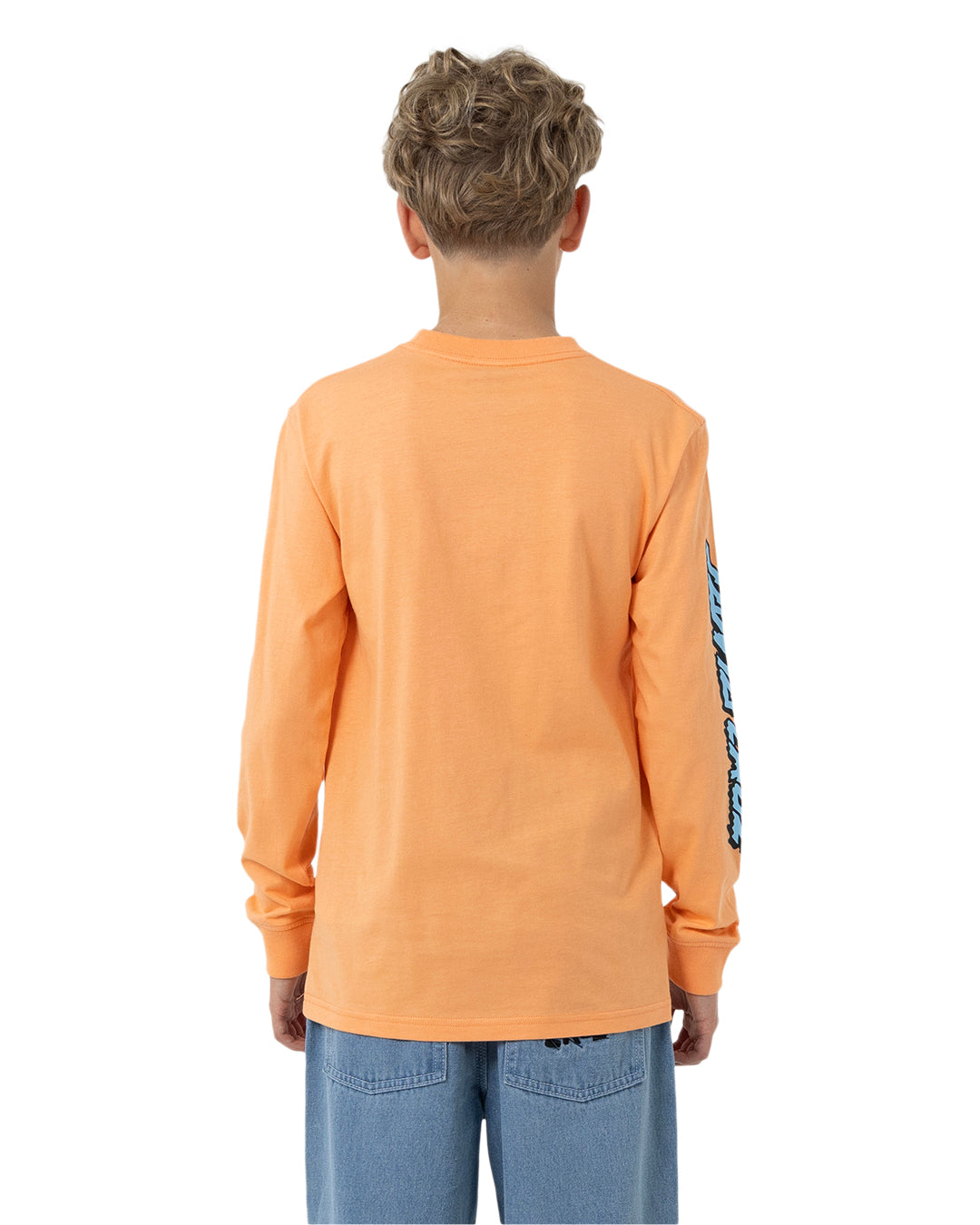 Santa Cruz Decaying Hand Centre Strip Long Sleeve Orange