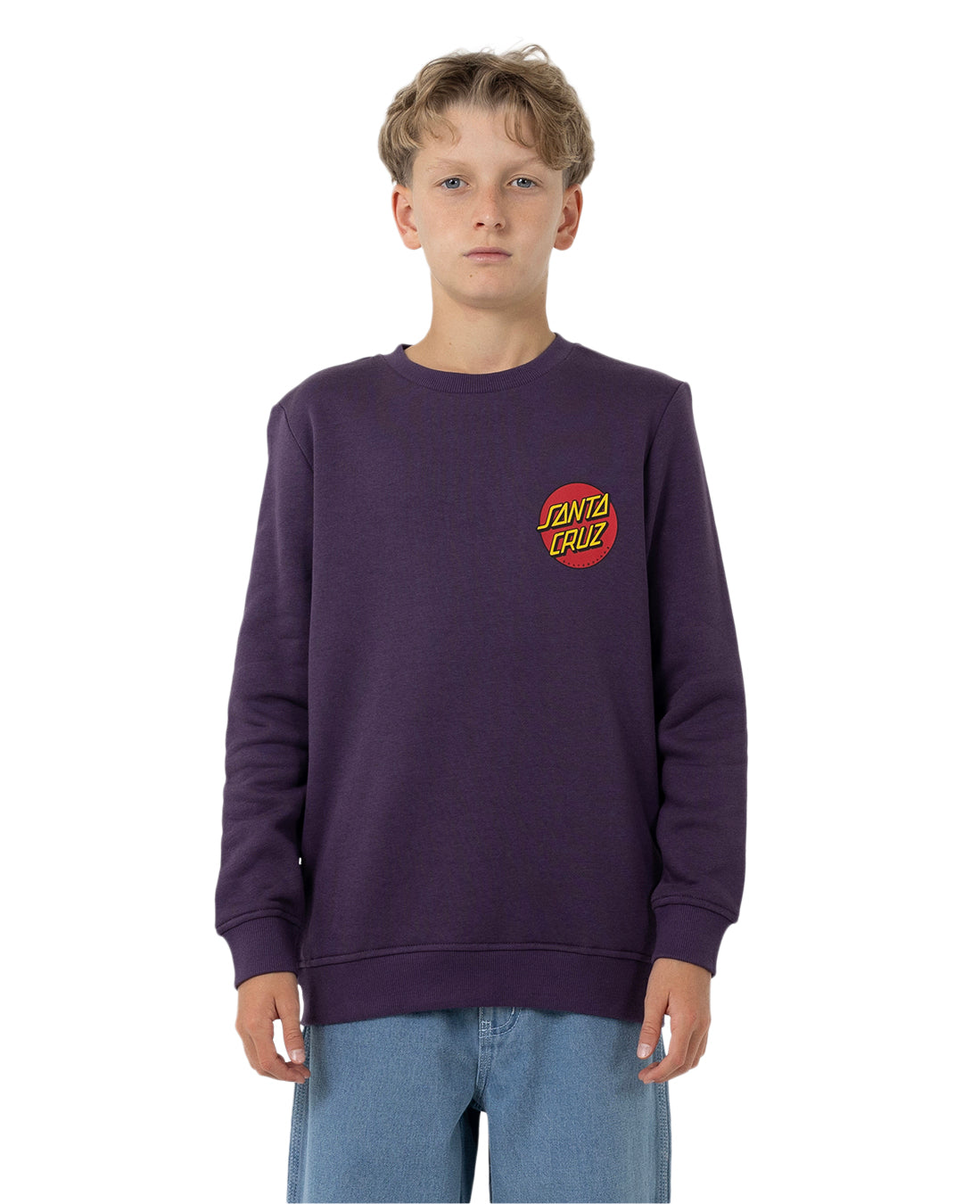 Santa Cruz Classic Dot Chest Sweater Purple